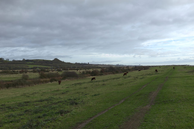 Benfleet2Leigh_00055.jpg