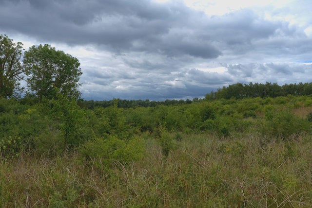 DSCF8230.jpg
