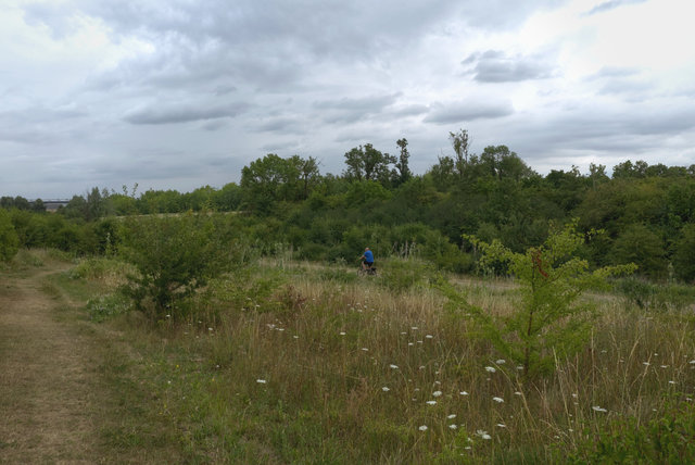 DSCF8223.jpg