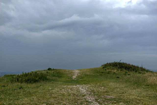 Tring_00186.jpg