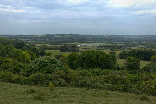Tring_00081.jpg