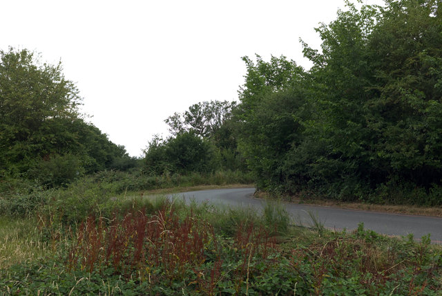 DSCF8368.jpg