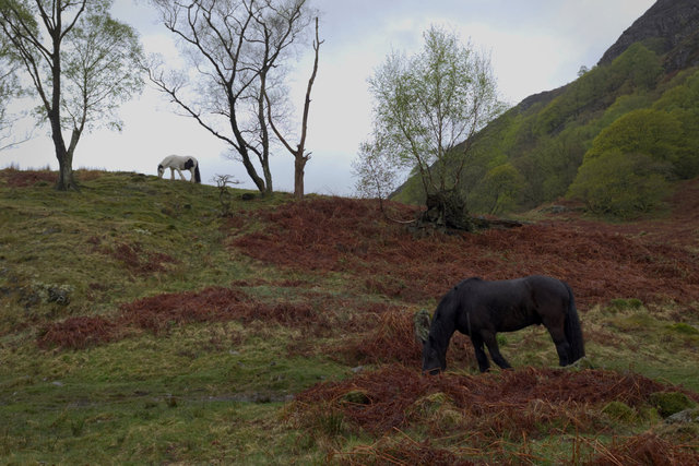 Coniston-00124.jpg