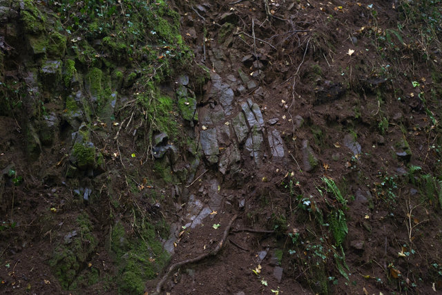 Edenway-00079.jpg