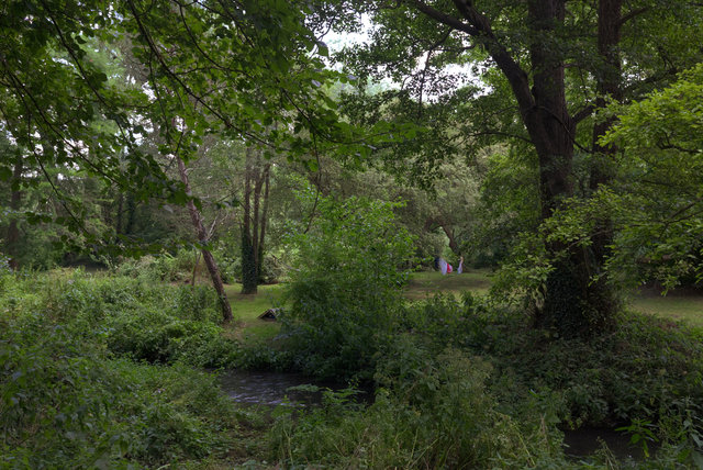 Shore00052.jpg