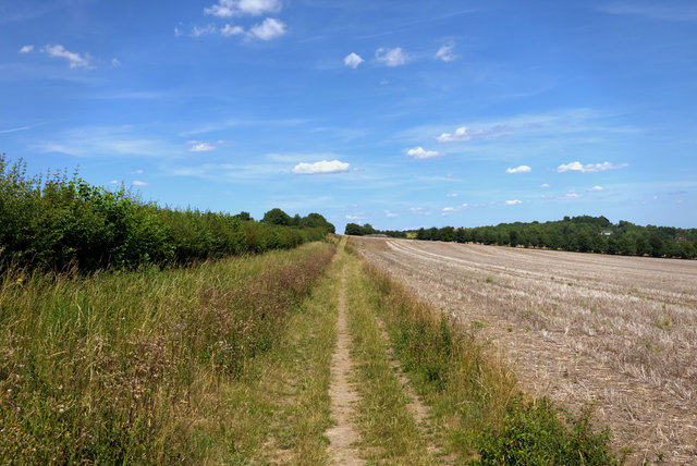 Shore00183.jpg