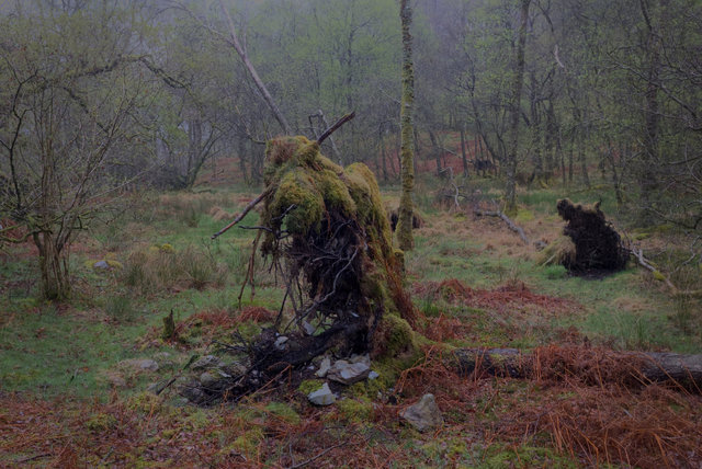 Coniston-00236.jpg
