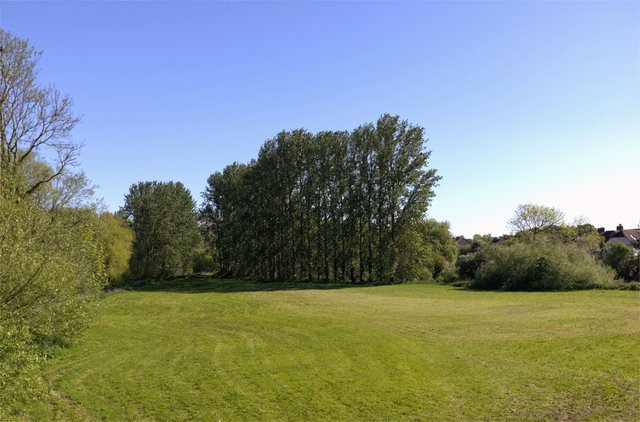 EF2Y-00256.jpg