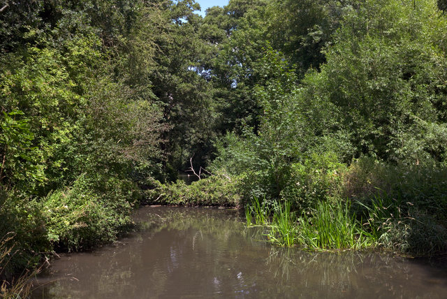 Shore00130.jpg
