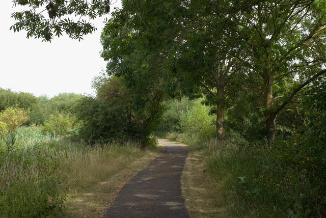DSCF8154.jpg