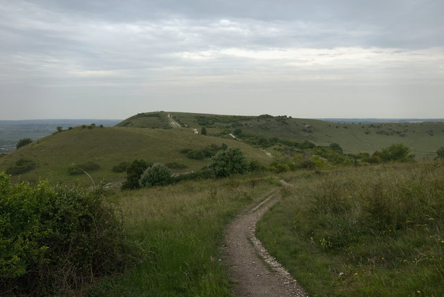 Tring_00171.jpg