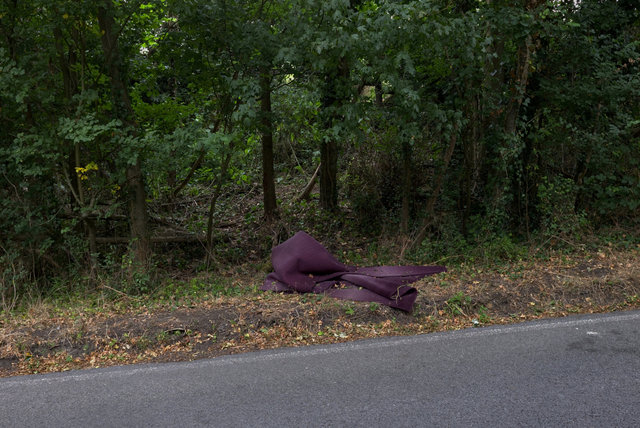 DSCF8314.jpg