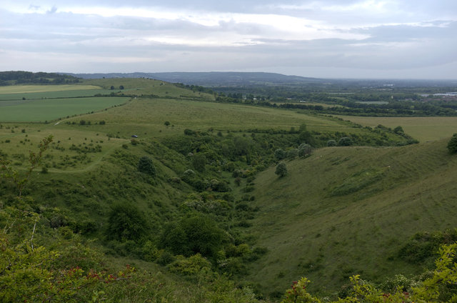 Tring_00157.jpg