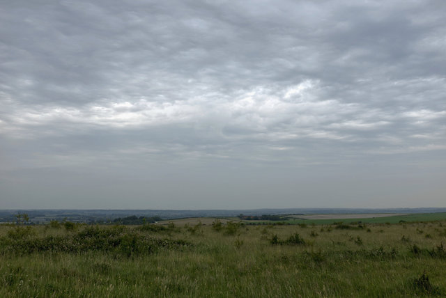 Tring_00133.jpg