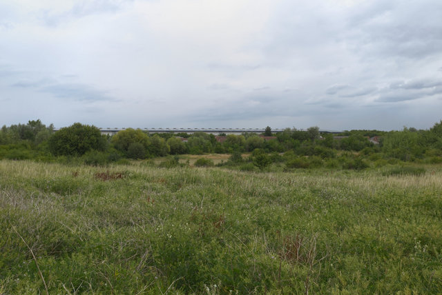 DSCF8237.jpg