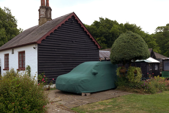 Tring_00295.jpg