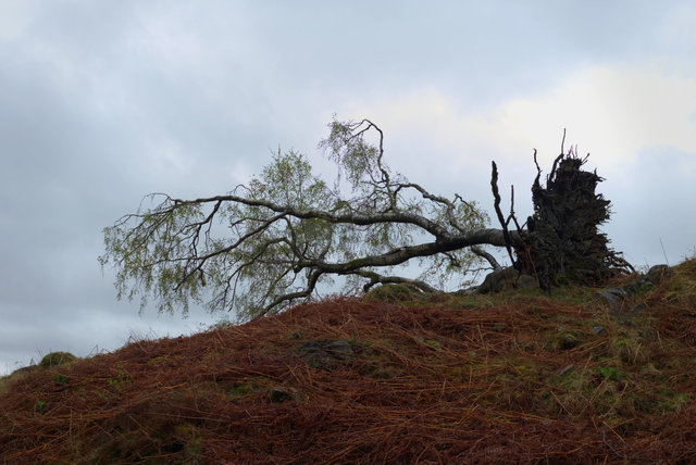 Coniston-00112.jpg