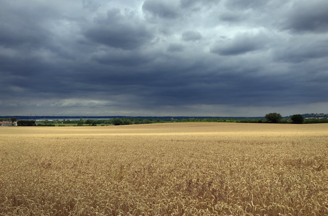 DSCF8285.jpg