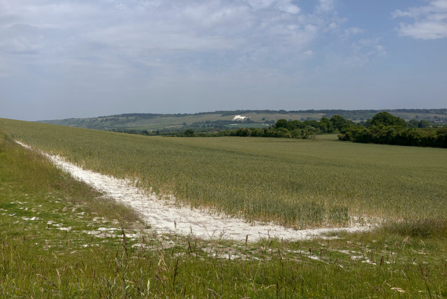 Tring_00217.jpg