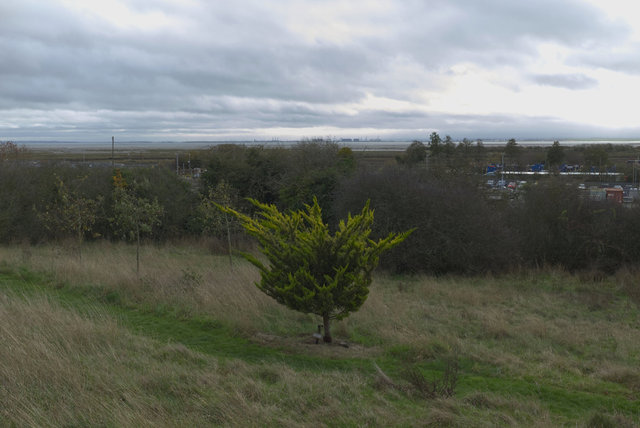 Benfleet2Leigh_00195.jpg