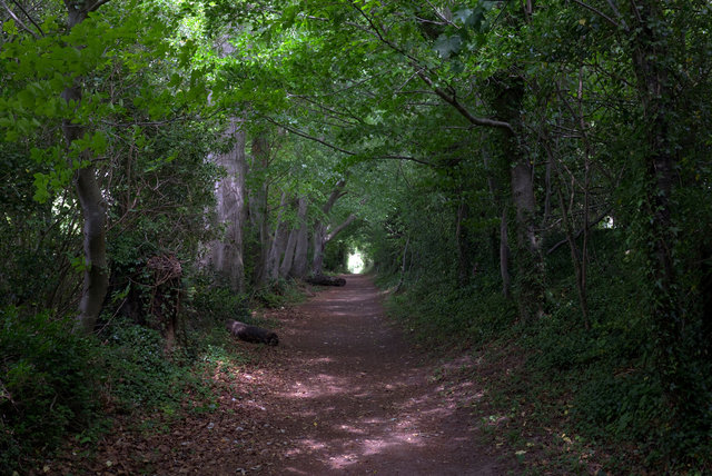 Tring_00024.jpg