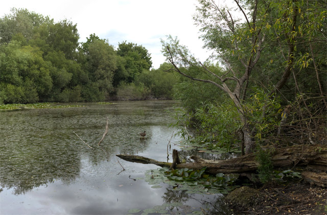 DSCF8176.jpg