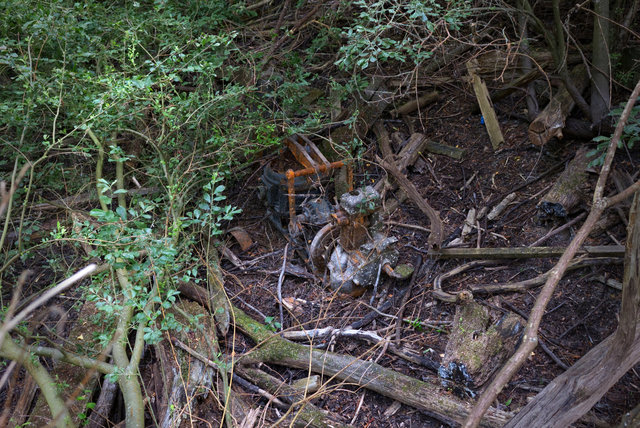 DSCF8163.jpg
