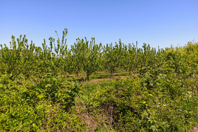 EF2Y-00049.jpg