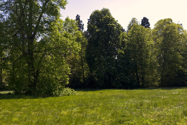 EF2Y-00162.jpg