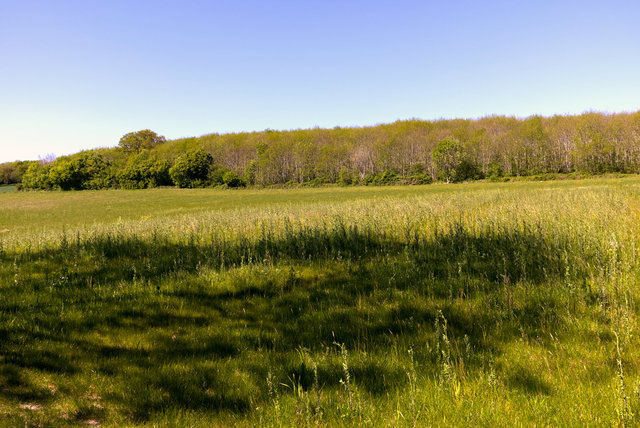 EF2Y-00228.jpg