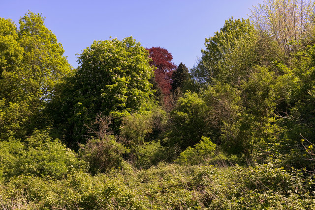 EF2Y-00083.jpg