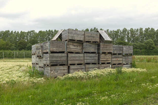 Chartham>Canterbury_0000193.jpg
