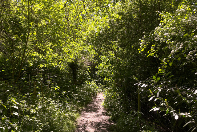 EF2Y-00091.jpg
