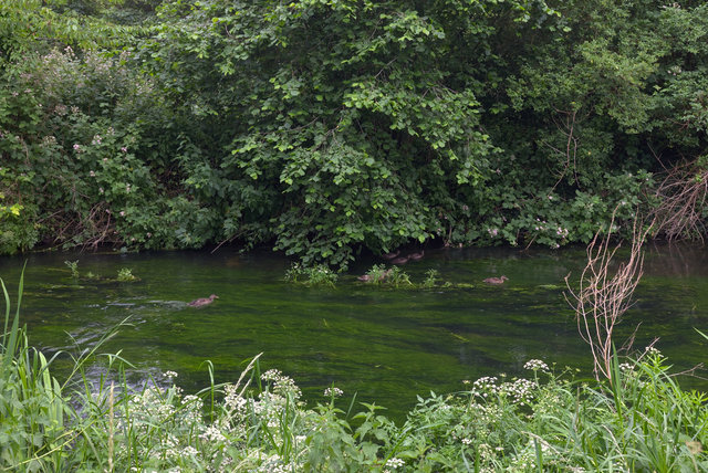 Chartham>Canterbury_0000021.jpg