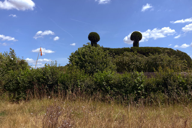 Shore00145.jpg