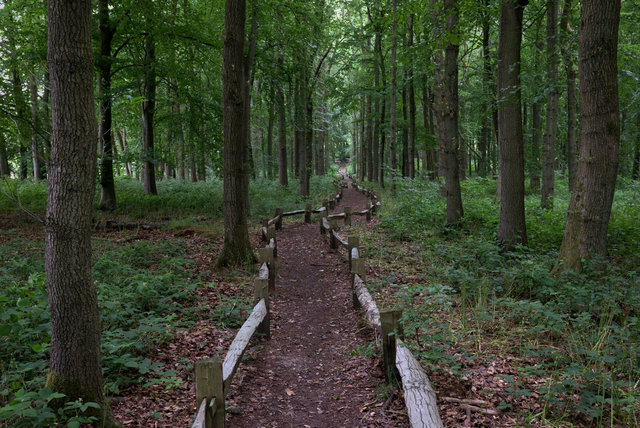 Tring_00267.jpg