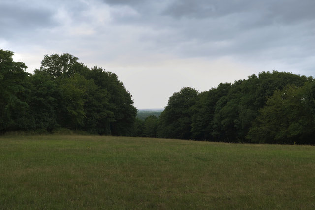 DSCF8335.jpg
