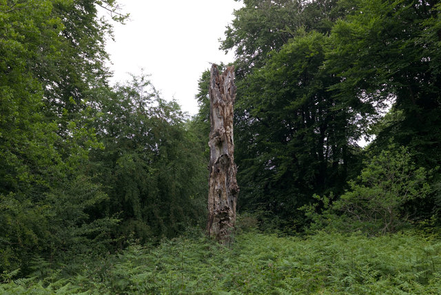 Tring_00276.jpg