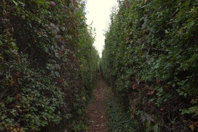 Edenway-00269.jpg