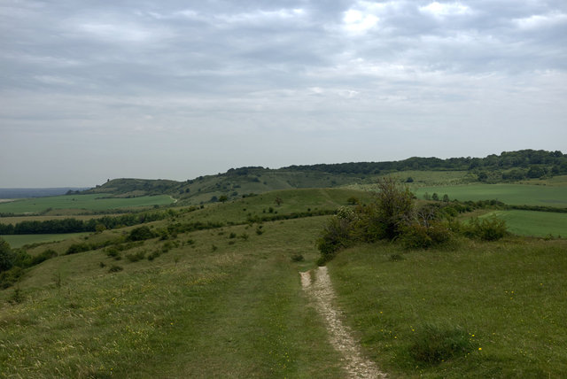 Tring_00114.jpg