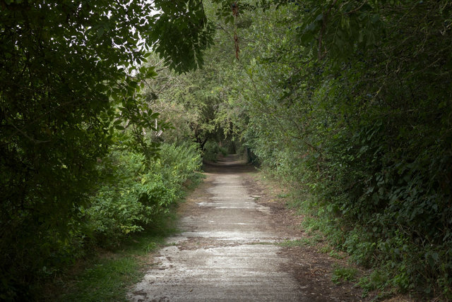 DSCF8160.jpg