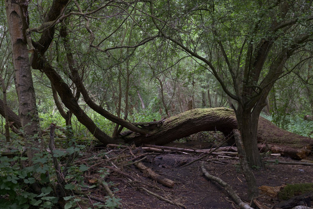 DSCF8192.jpg