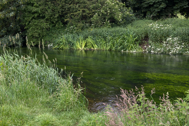 Chartham>Canterbury_0000065.jpg