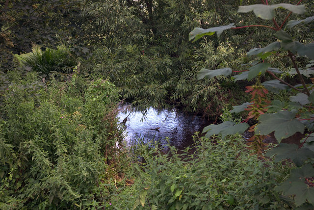 Shore00054.jpg