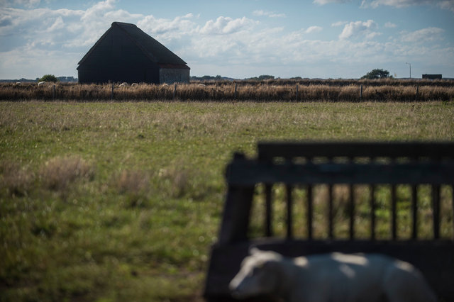 Texelweek: dinsdag