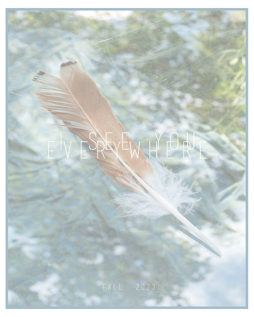 Red Tail Hawk Feather copy.jpg