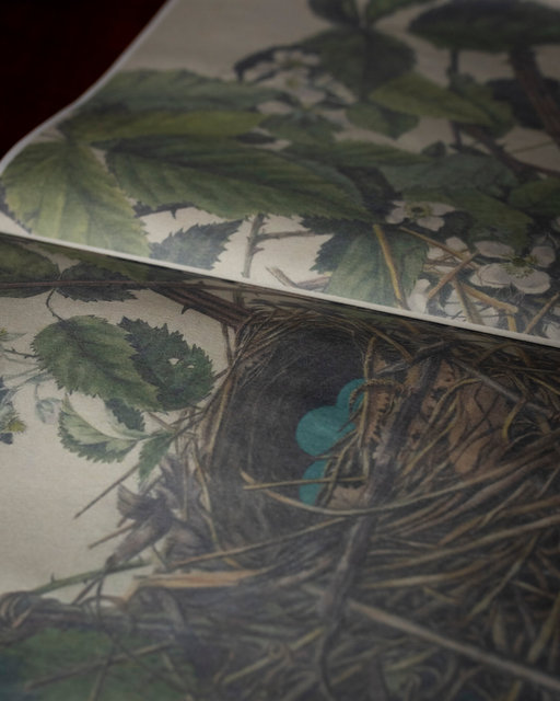 Nesting- An Ode to Genivieve -9438.jpg