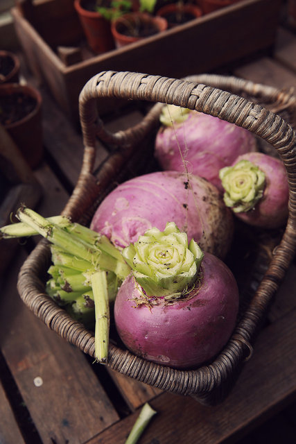 Turnips