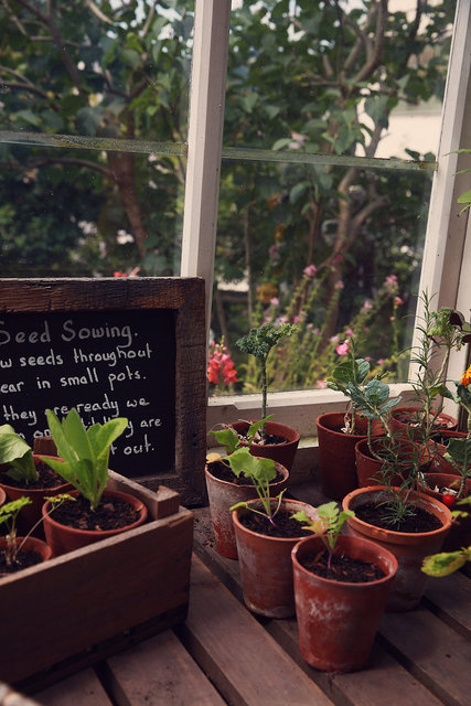 Inside the Potting Shed