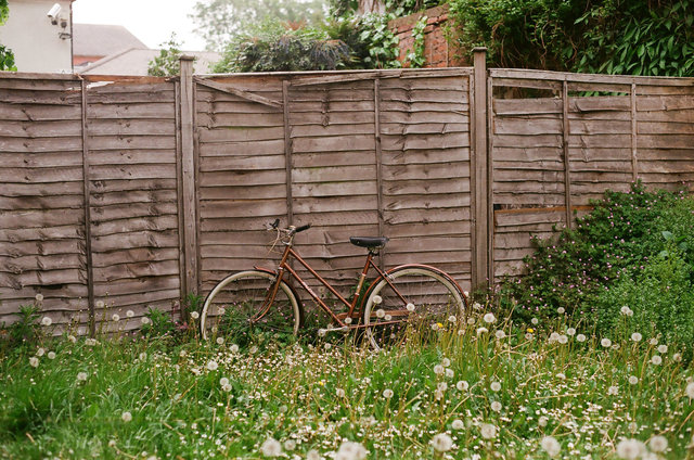 In the studio of illustrator, Eleanor Hardiman